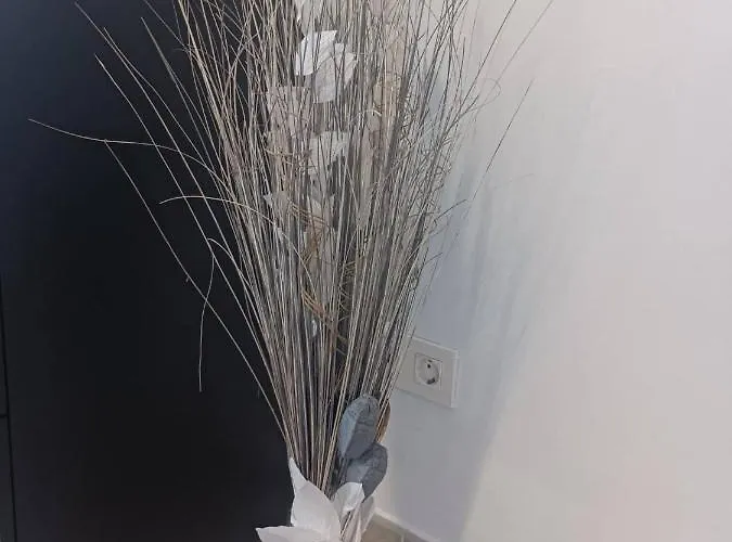 Апартаменти Acapulco With Pool *