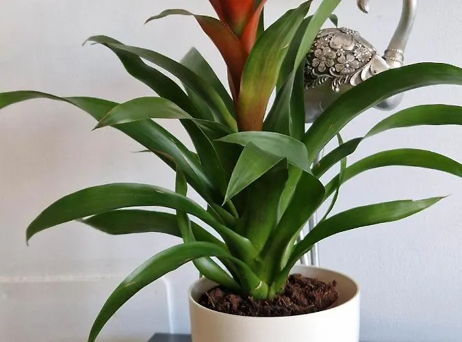 Апартаменти Acapulco With Pool Фуенхірола